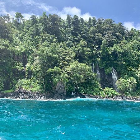 Taveuni Palms Resort Matei Exteriör bild