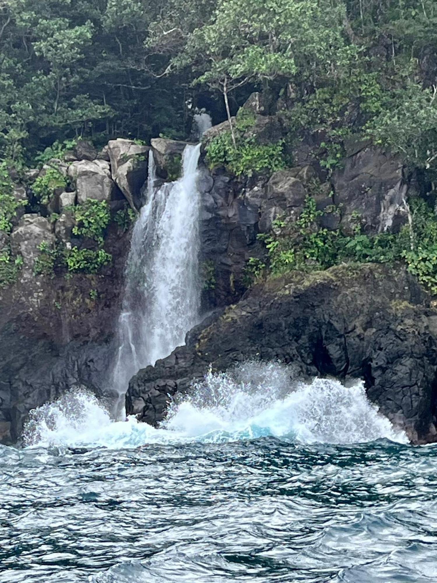 Taveuni Palms Resort Matei Exteriör bild