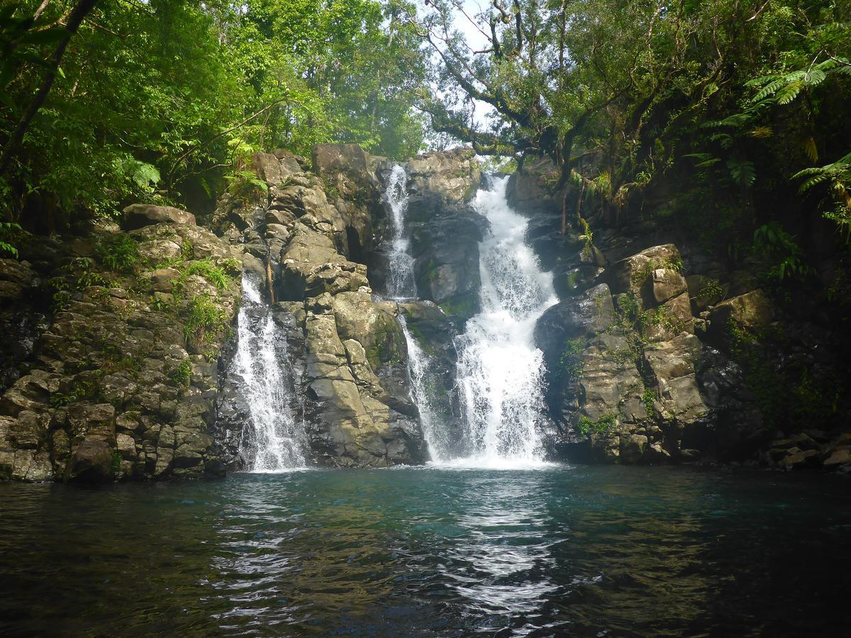 Taveuni Palms Resort Matei Exteriör bild